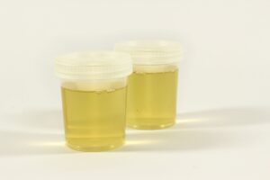 how to sneak synthetic urine for a drug test